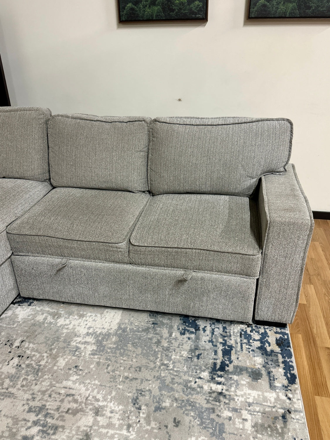 Sectional w/ Pull-out & Storage Chaise