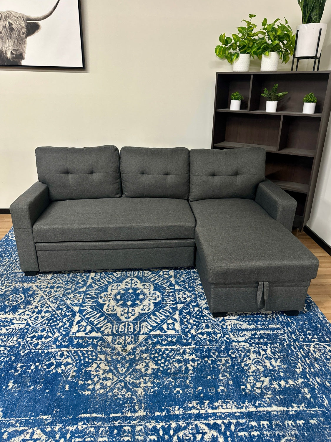 Sleeper Pull Out Storage Sectional Couch