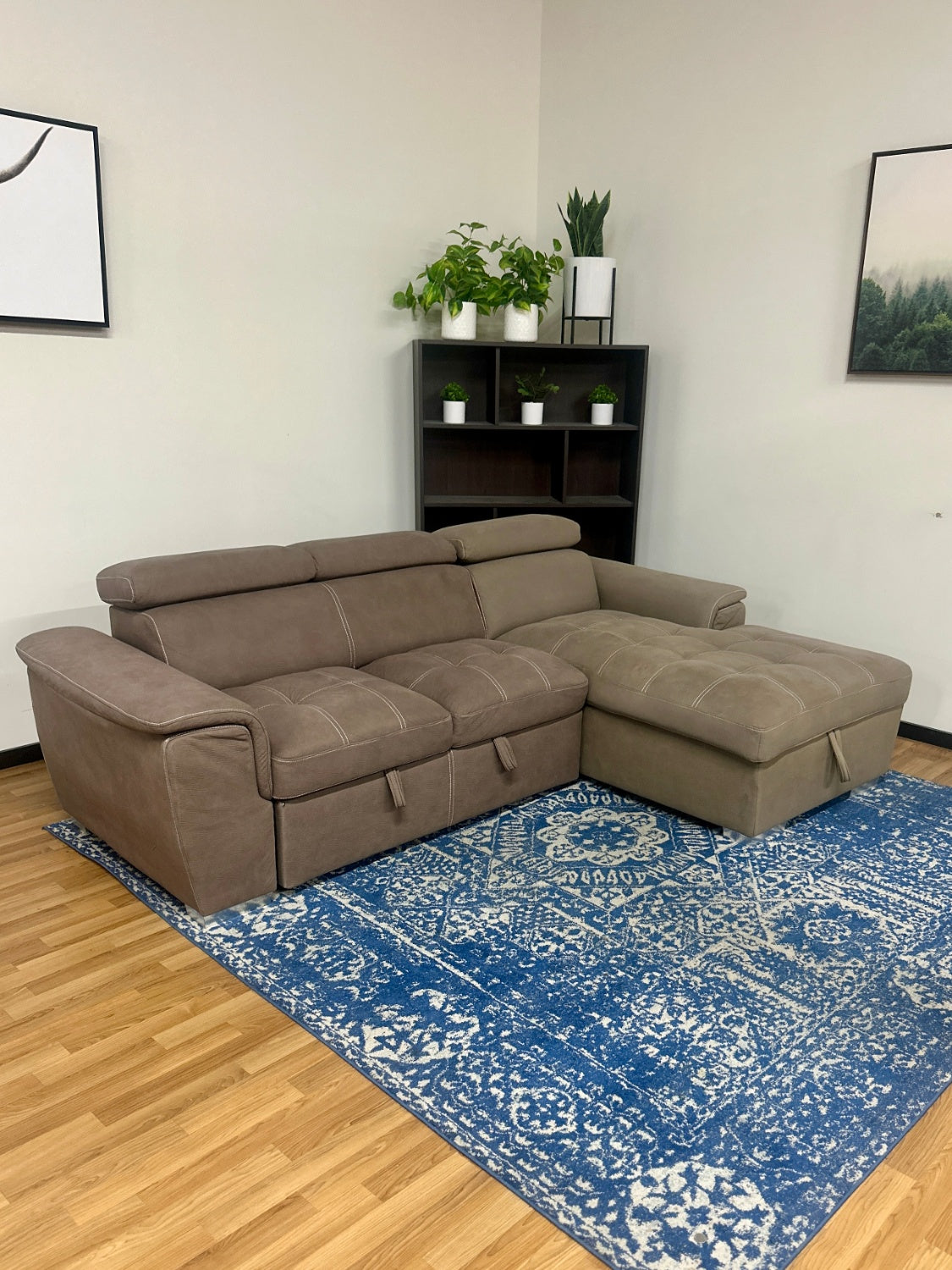 Modern Pullout Sleeper w/ Storage