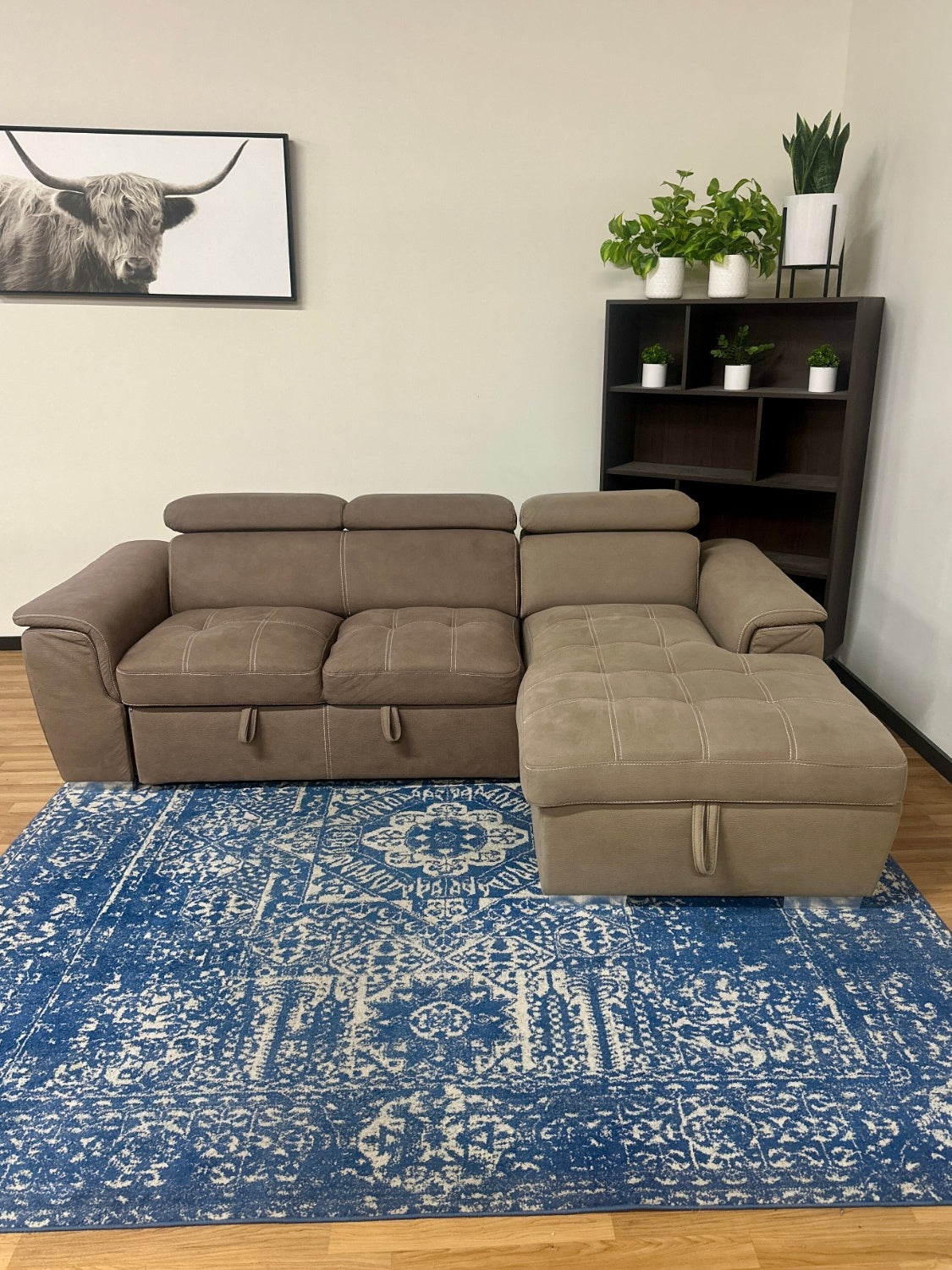 Modern Pullout Sleeper w/ Storage
