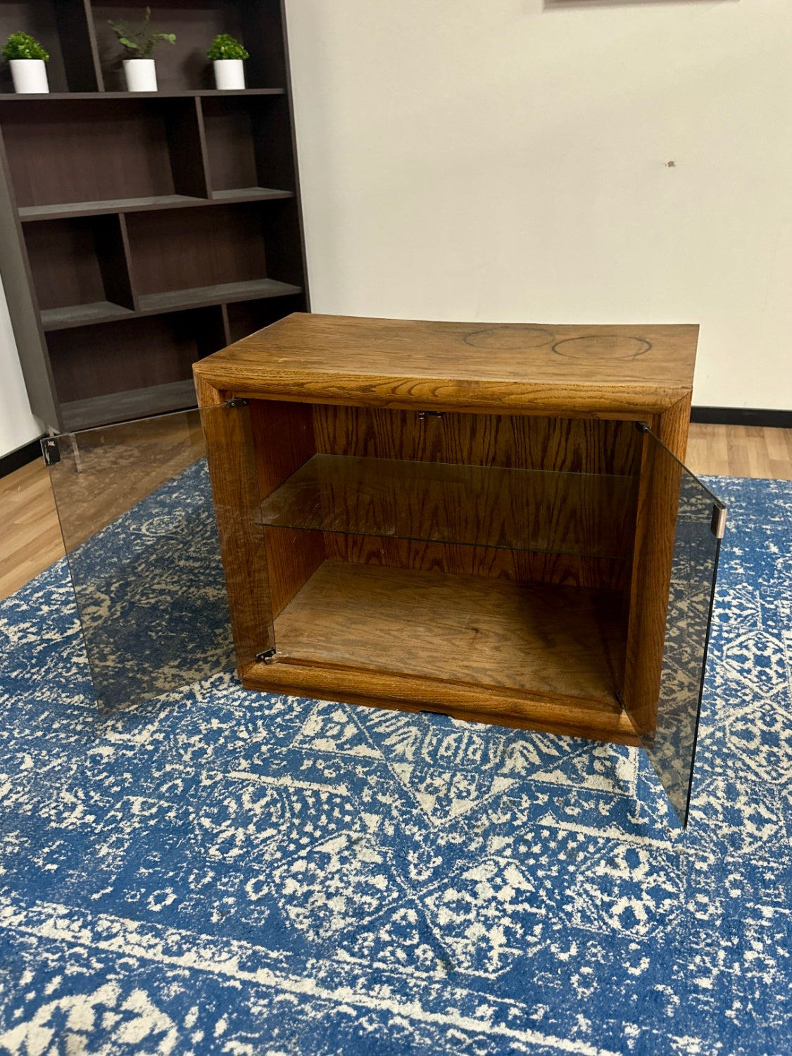 Cabinet with Glass Doors