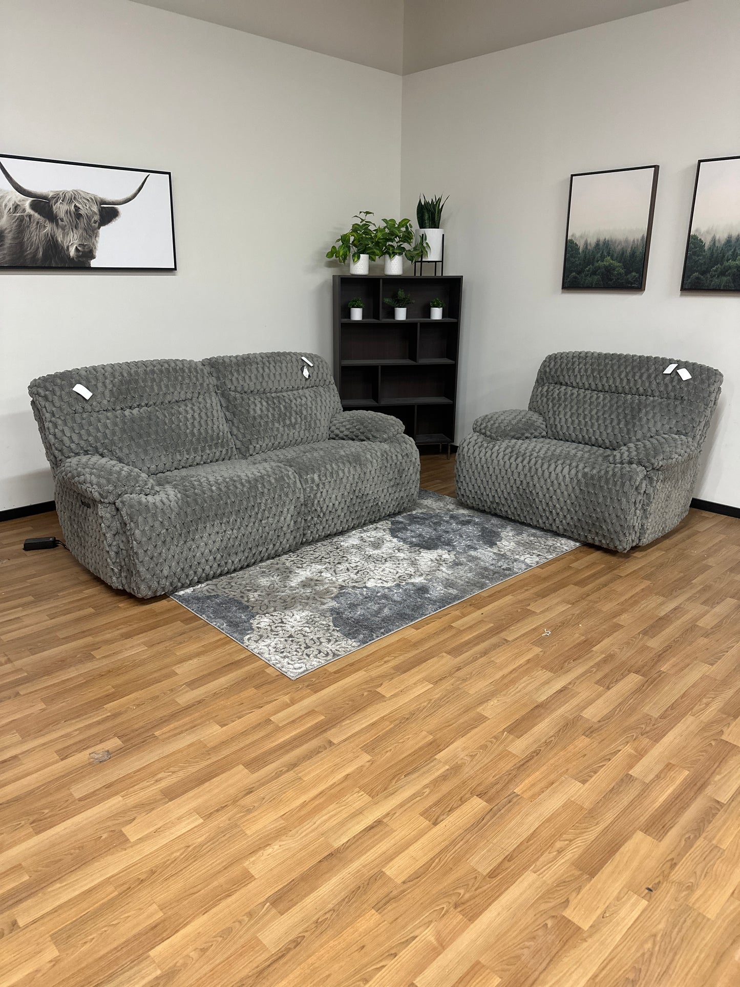 Fluffy 2pc Recliner Set in Fluffy Silver