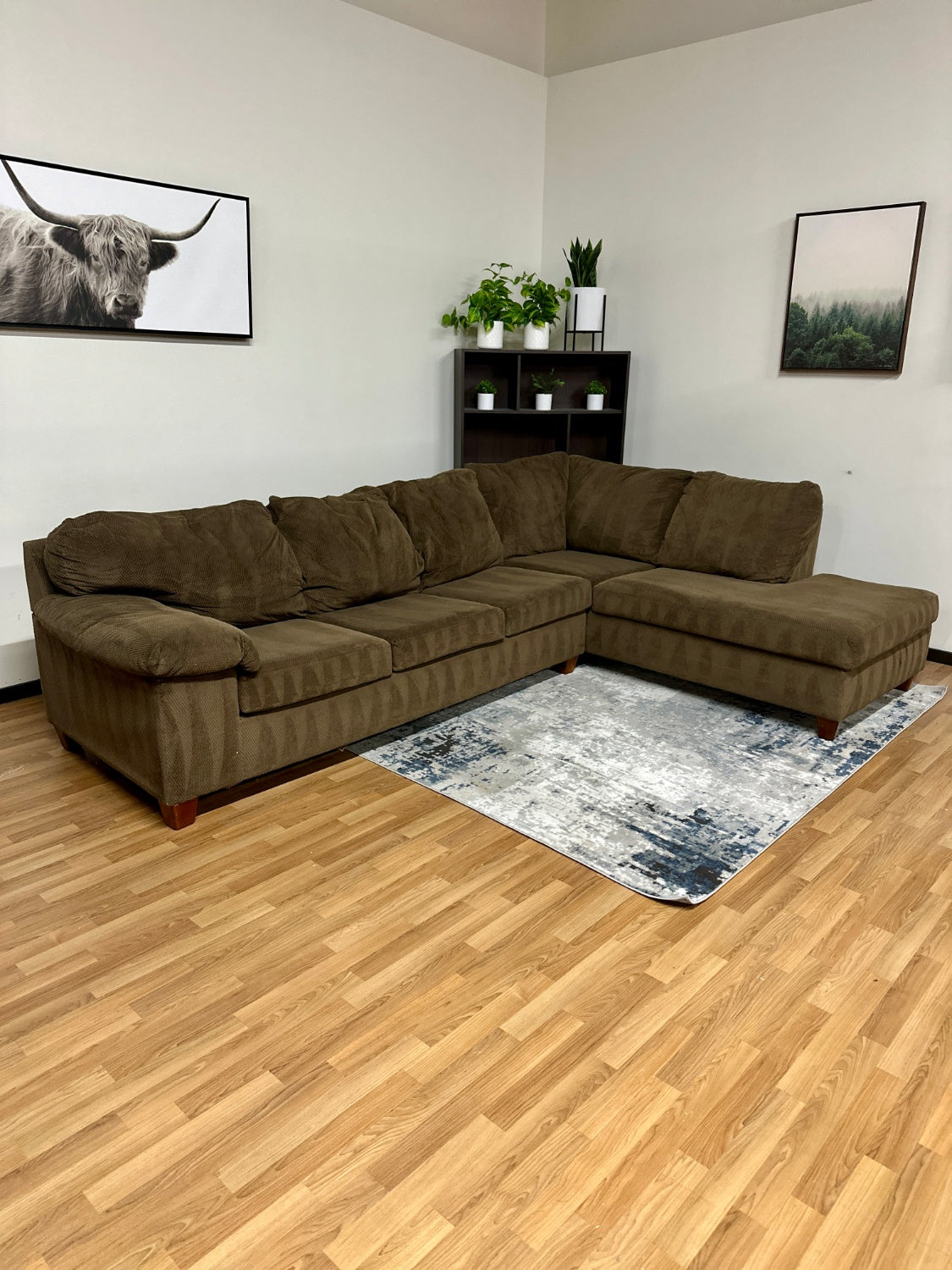 Brown Sectional w/ Chaise