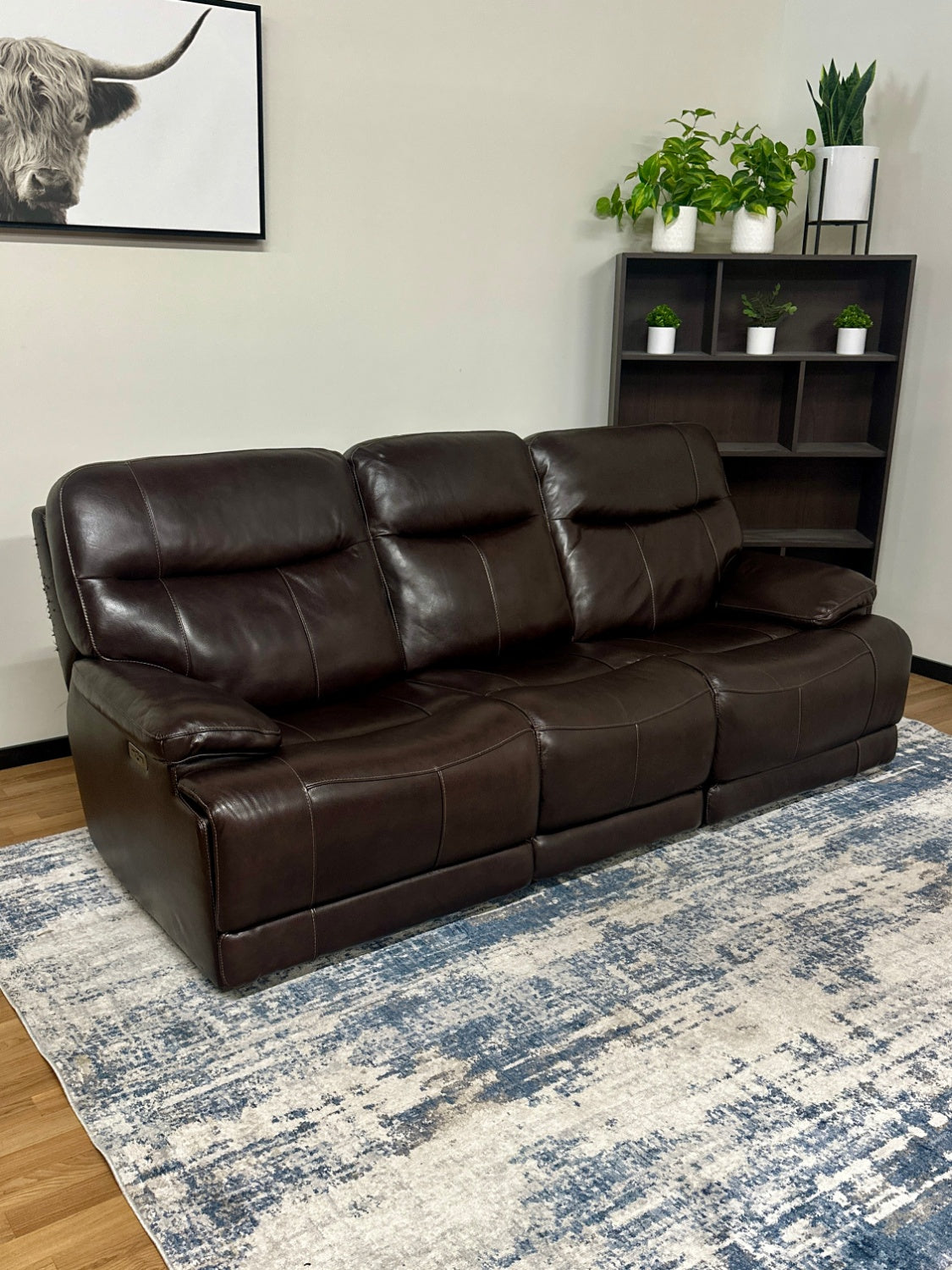 Dark Brown Recliner Couch
