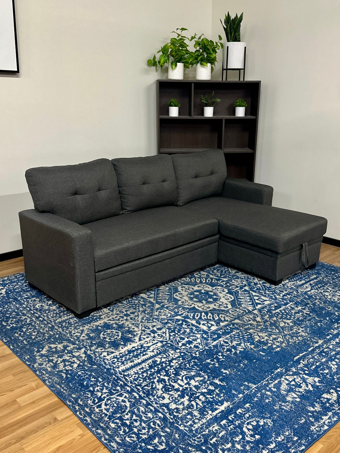 Sleeper Pull Out Storage Sectional Couch